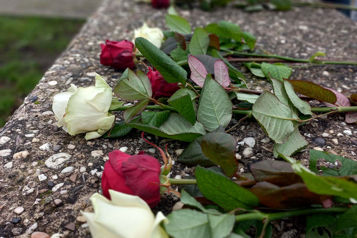 Annora-uitvaartverzorging-Gennep-Mill-Op-de-middenstip